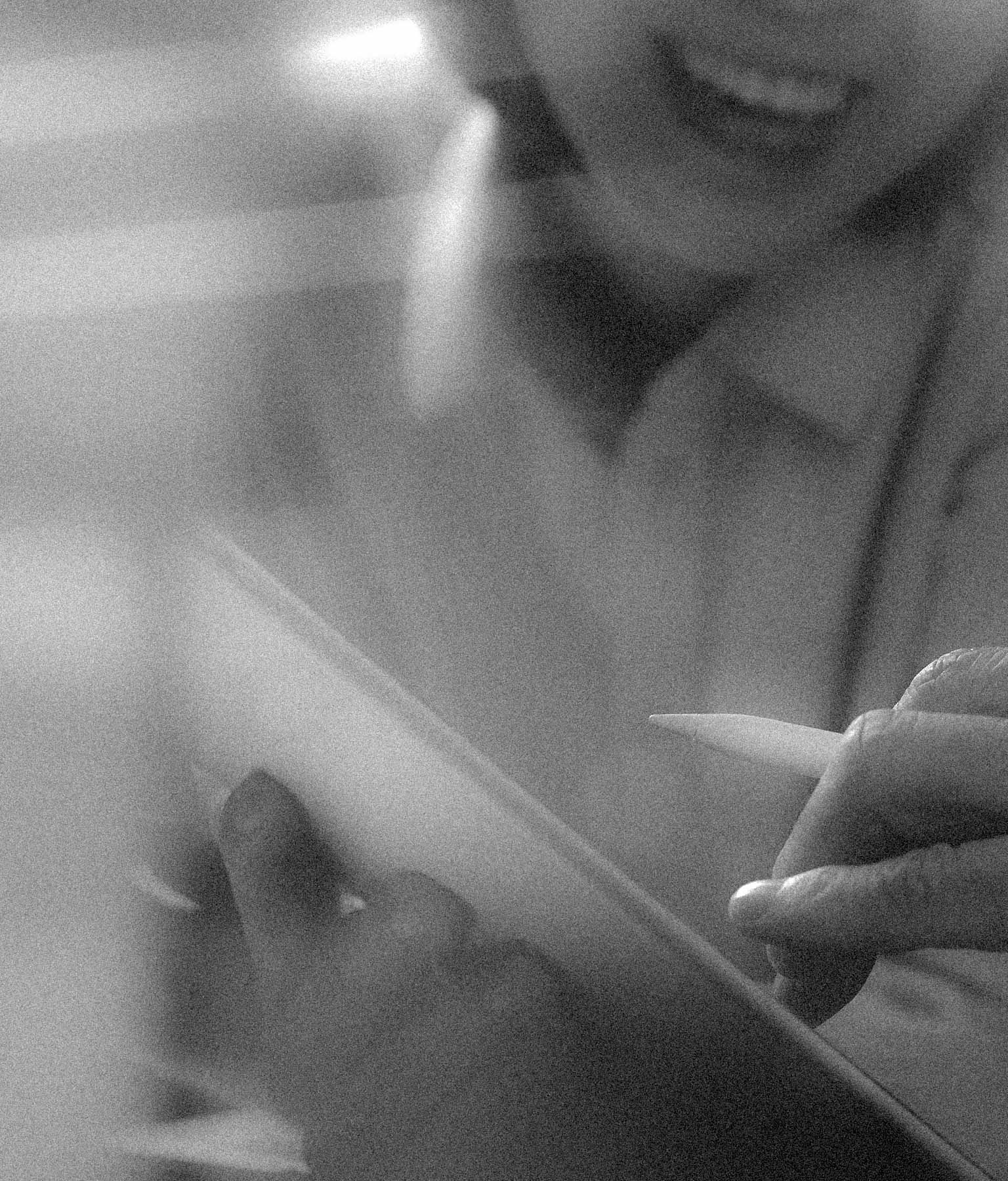 Χρήσιμες Ερωτήσεις